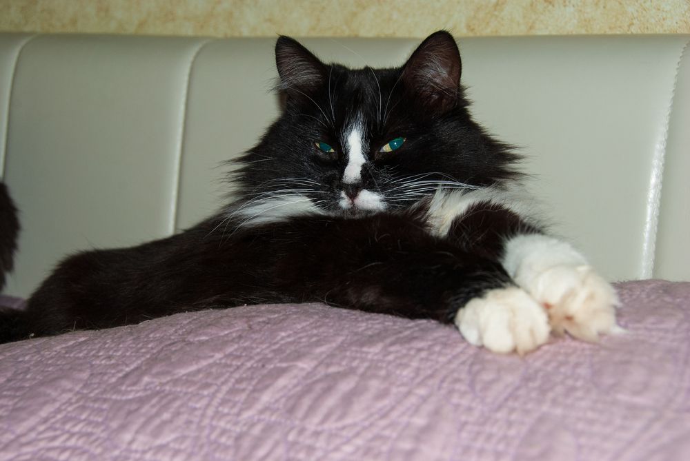 Photograph by Андрей Трякин