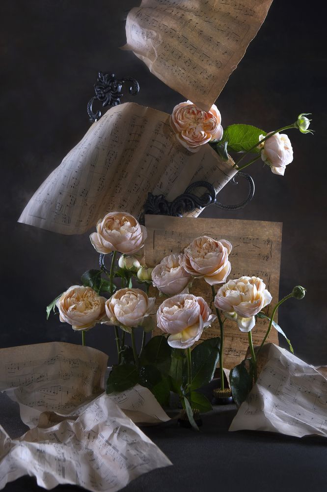 Photograph by Kostomarova Alla