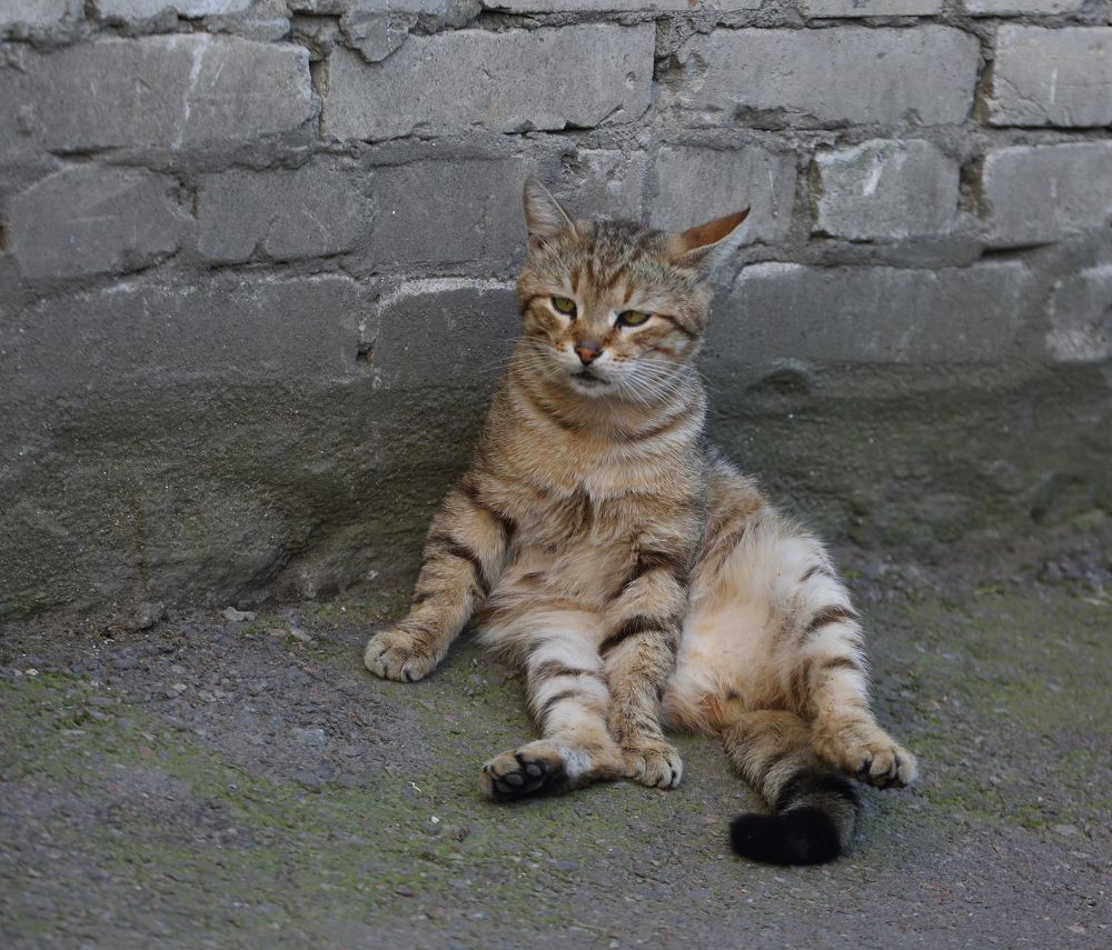 Photograph by Станислав Вершинин