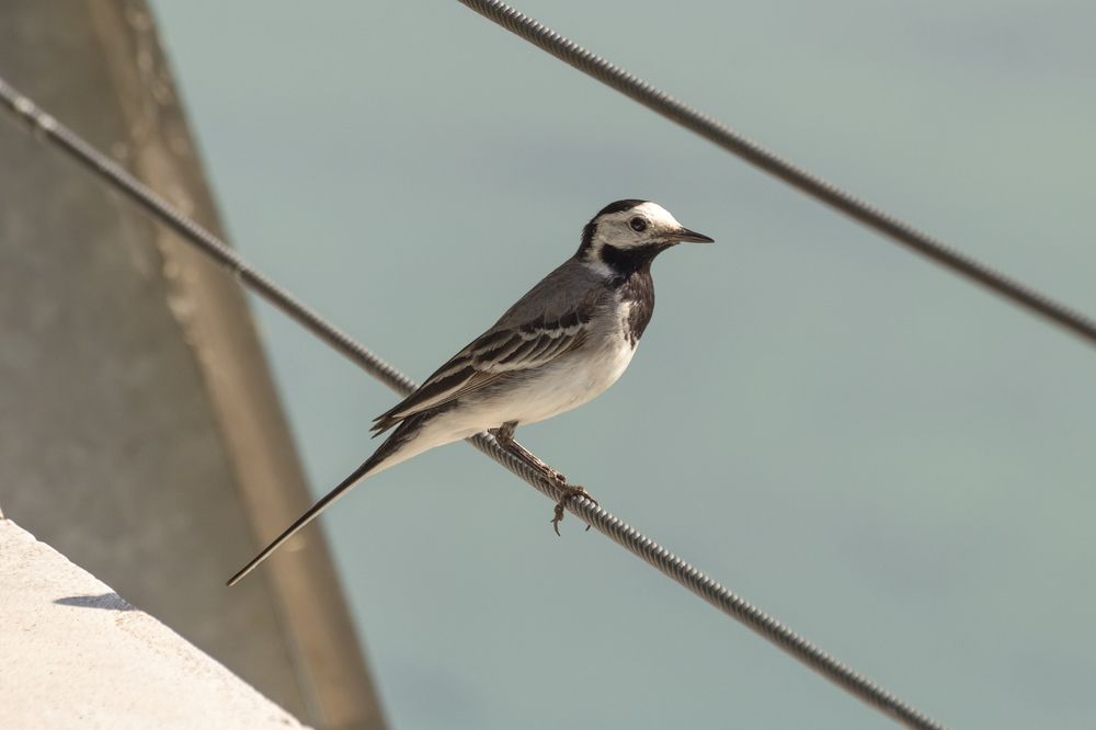 Photograph by Сергей Алексеев