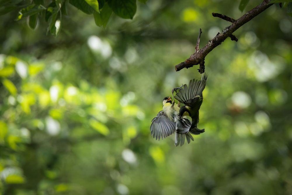 Photograph by Галина Павлова