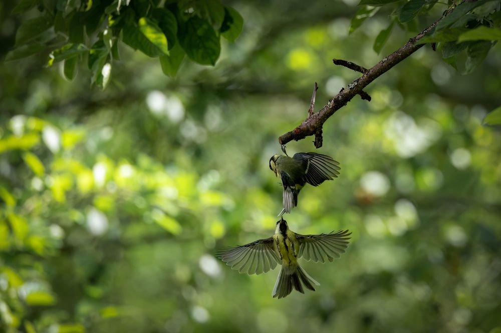 Photograph by Галина Павлова