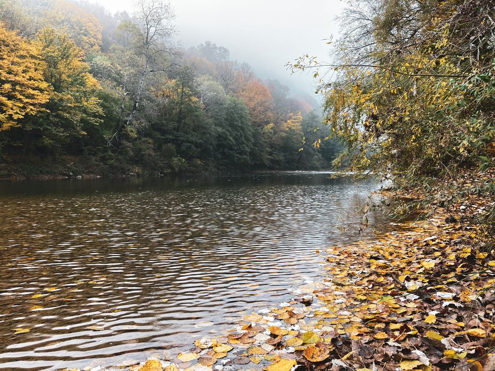 Осеннее утро