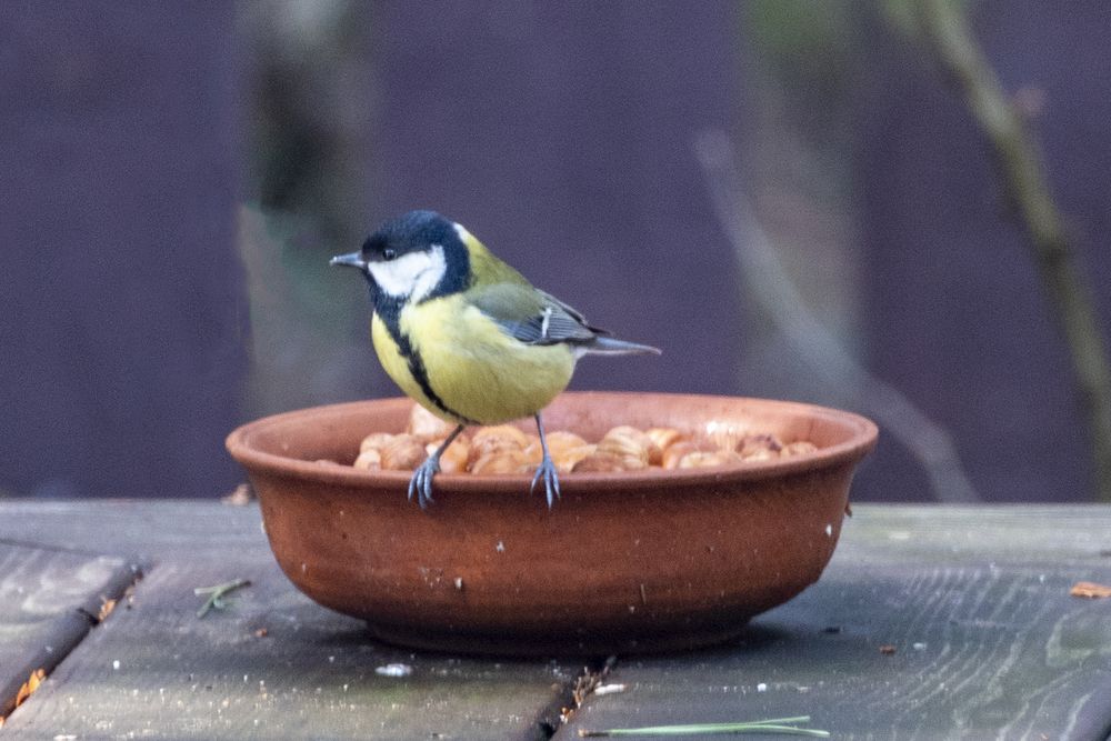 Photograph by Алексей Новиков