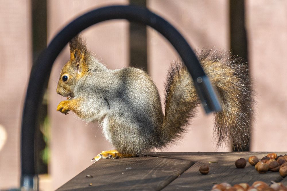 Photograph by Алексей Новиков