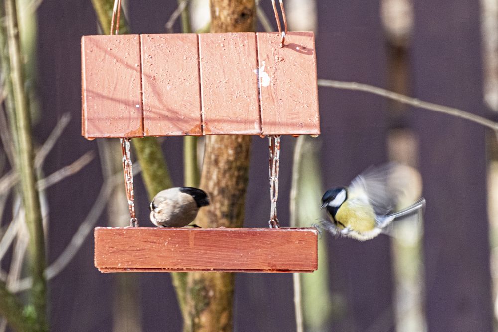 Photograph by Алексей Новиков