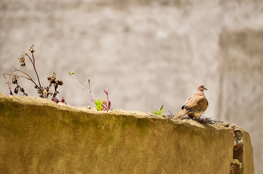 Photograph by Sahar Jafari