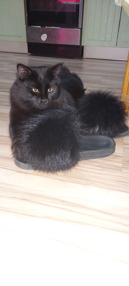 Фотография автора Сергей Можаев