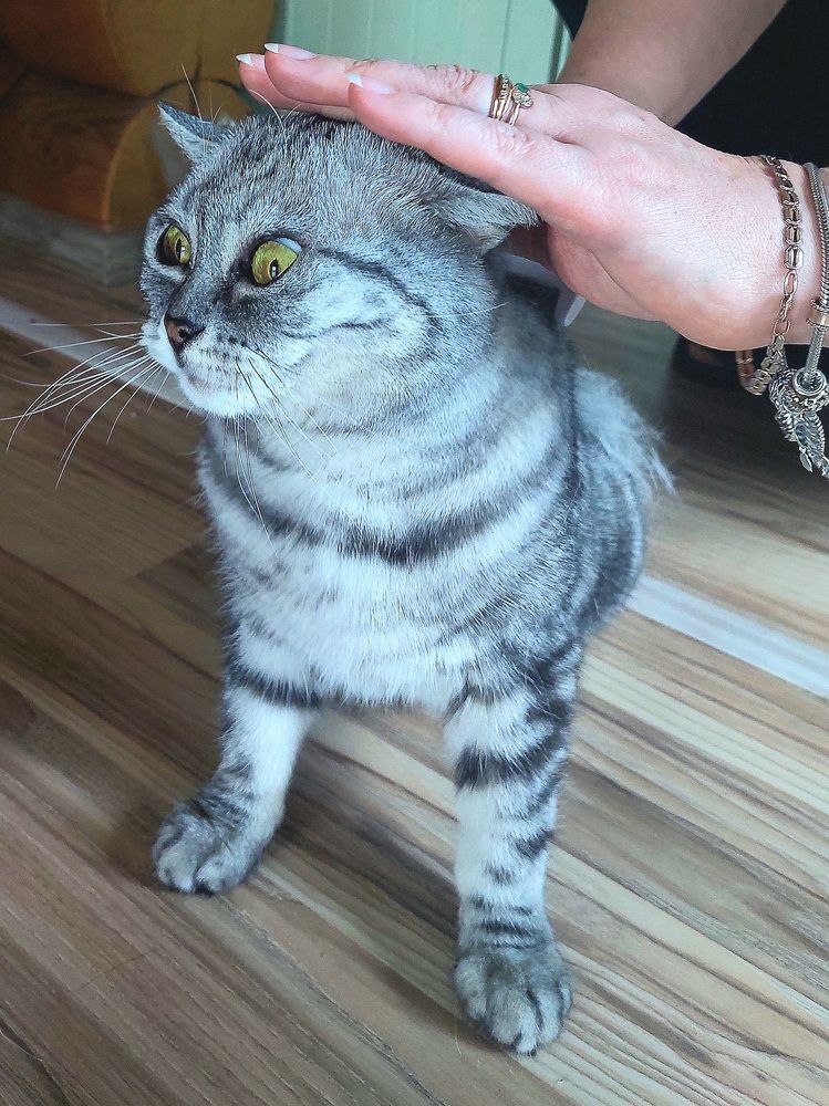 Фотография автора Сергей Можаев