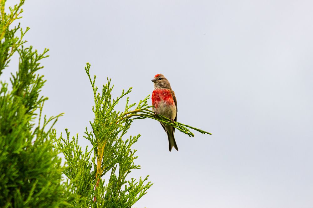 Photograph by Николай Зорин
