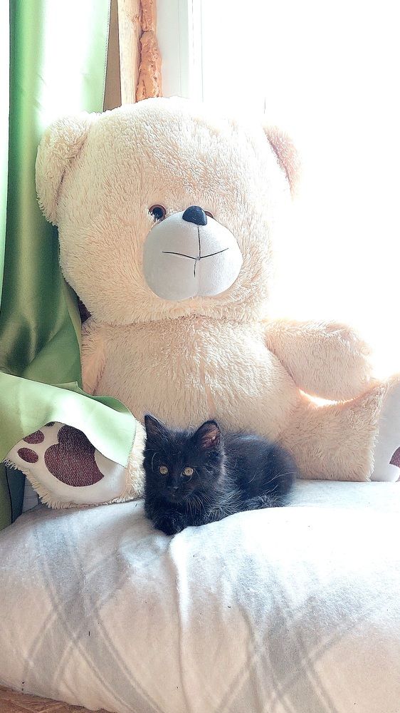 Фотография автора Сергей Можаев