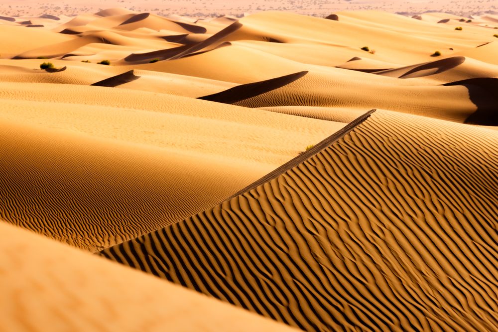 Photograph by Matteo Strassera