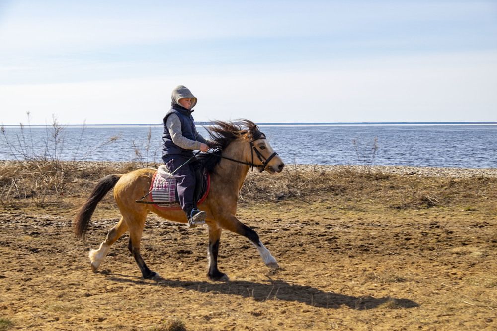 Photograph by Елена Маракулина