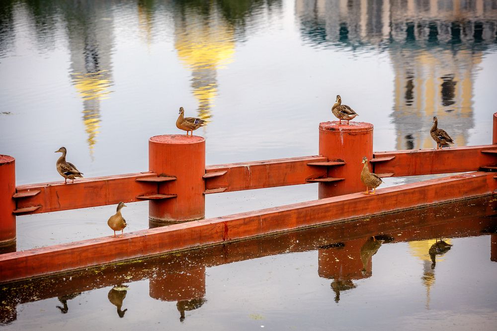 Photograph by Алексей Трифонов