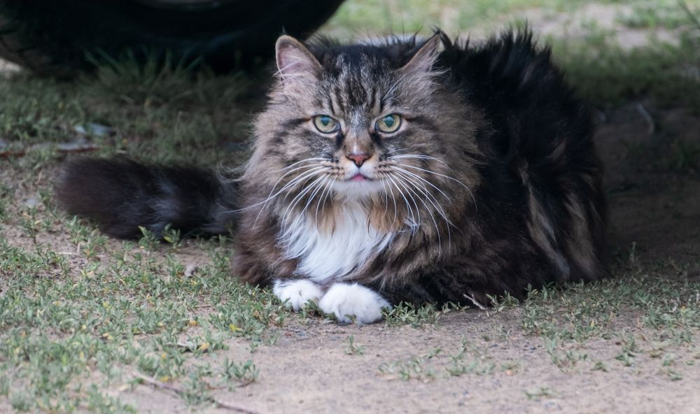 Photograph by Irina Luidinshina