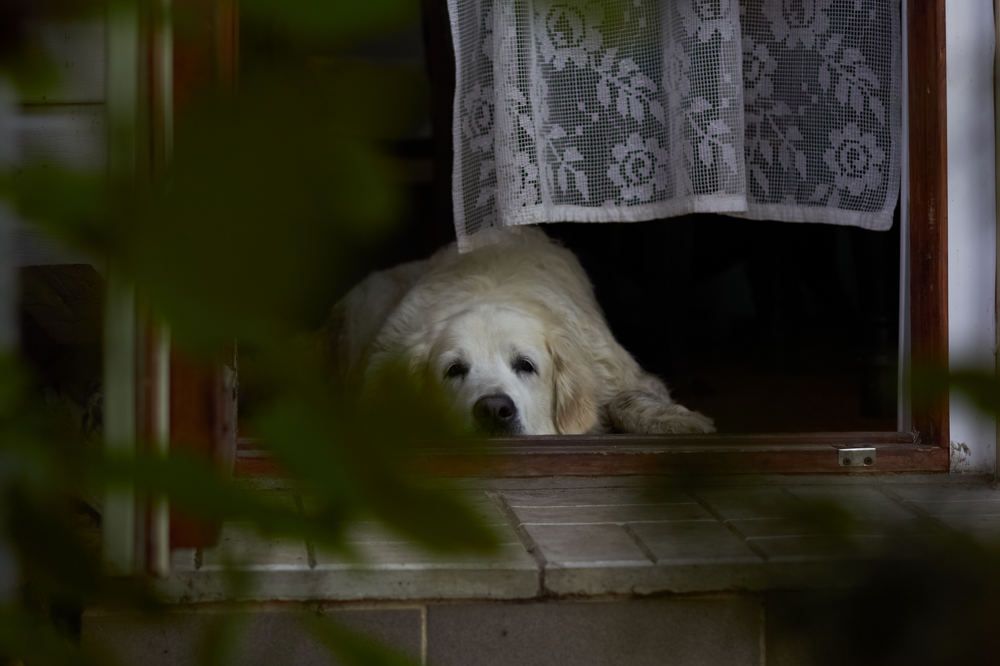 Photograph by Елена Глуховкина