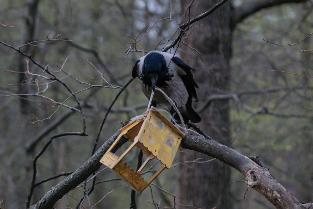Photograph by Карина Заводчикова