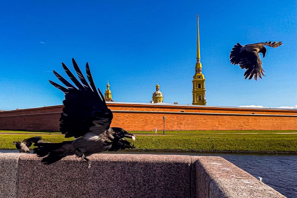 Photograph by Alexey Shevchenko