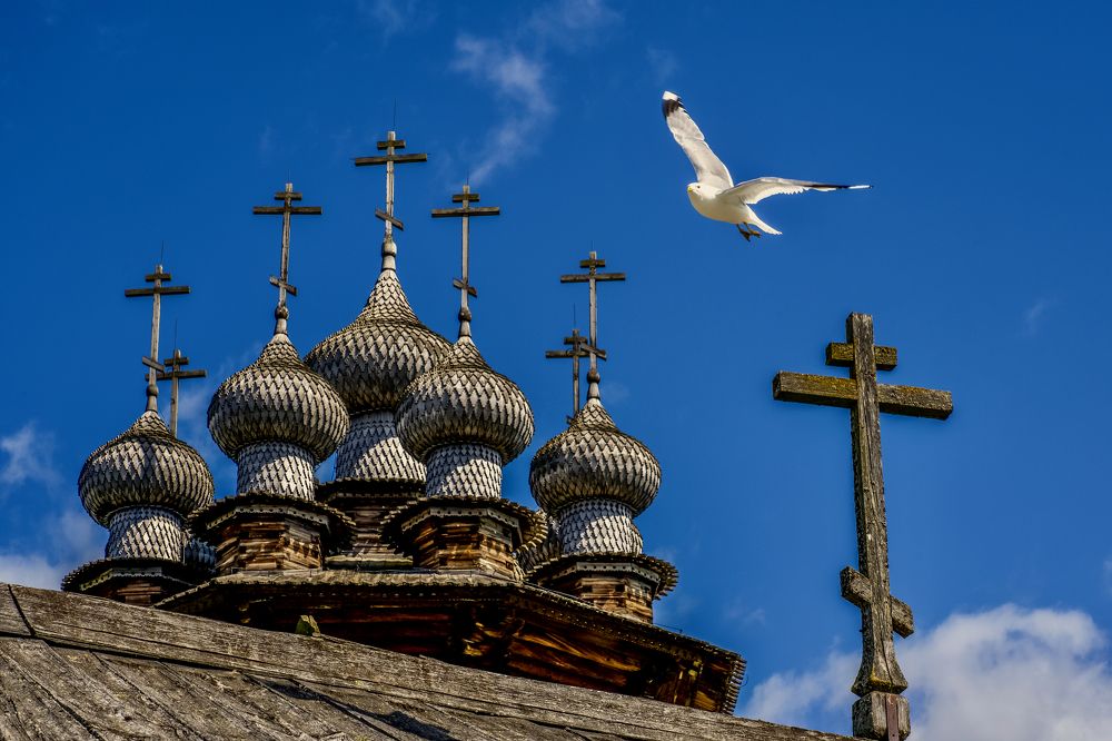 Photograph by Alexey Shevchenko