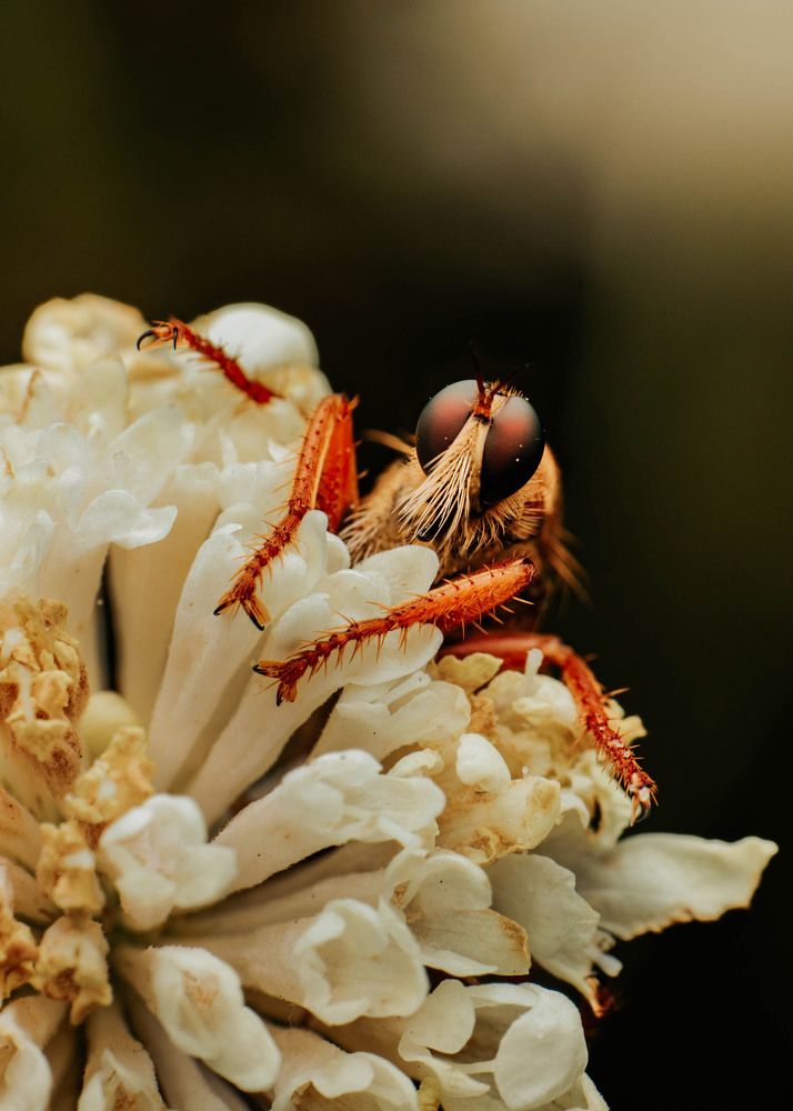 Фотография автора Любовь Маслова