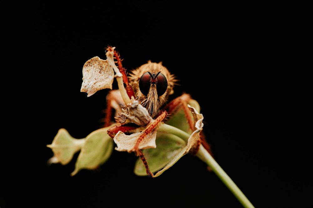 Фотография автора Любовь Маслова