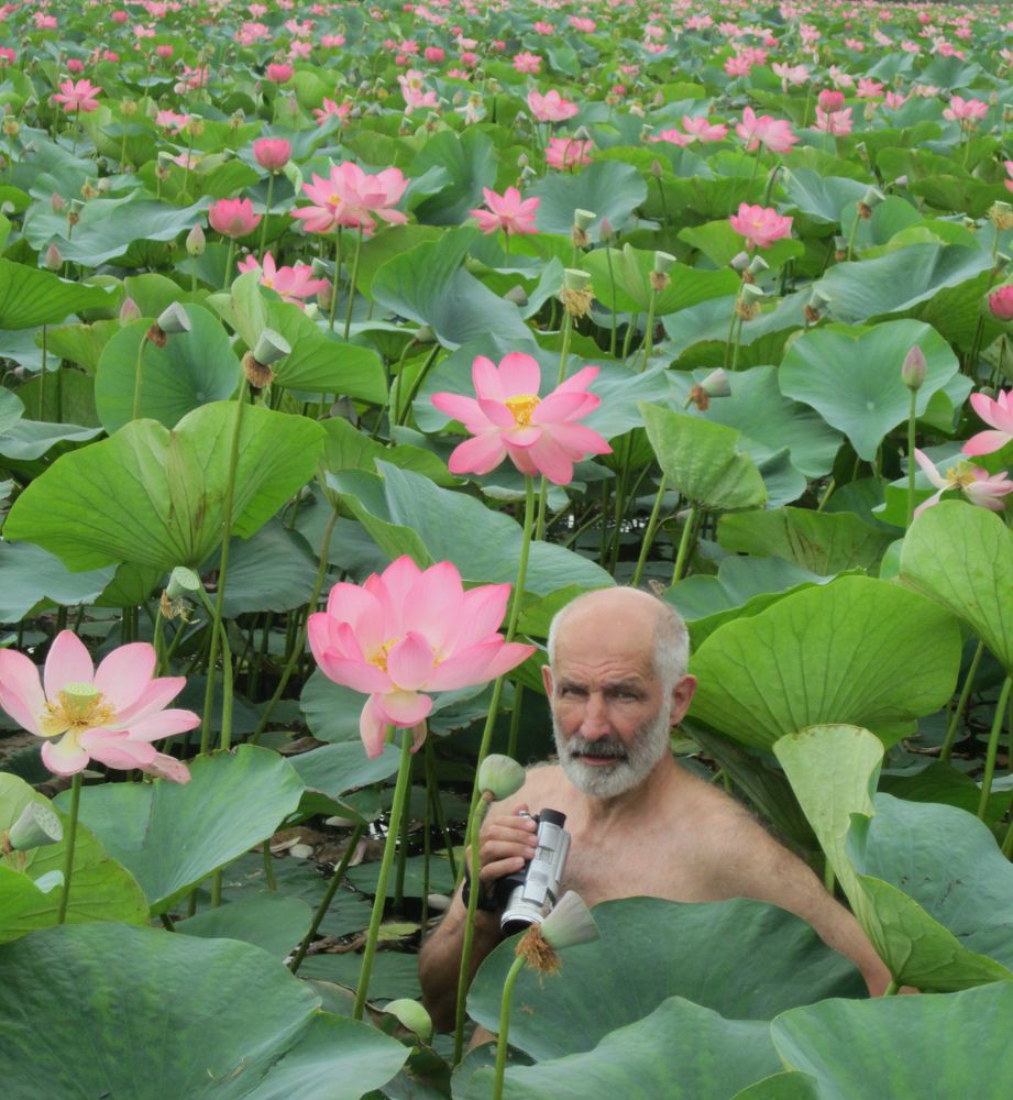 Photograph by Марина Кузьмина