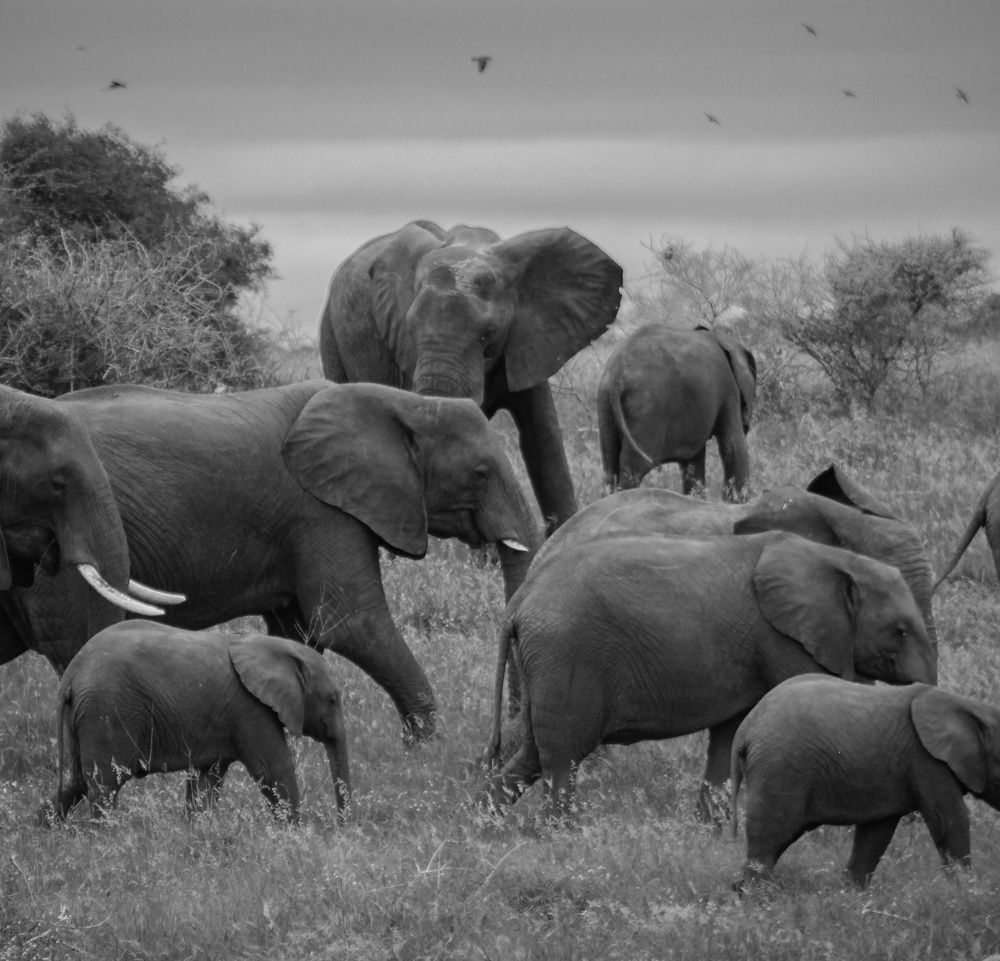 Photograph by Sasha Elske