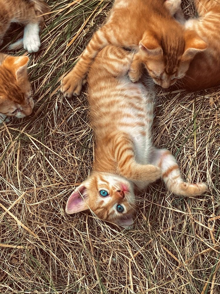 Photograph by Ceren Kıymazaslan