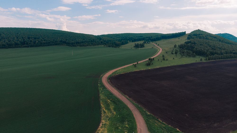 Photograph by Руслан Олинчук