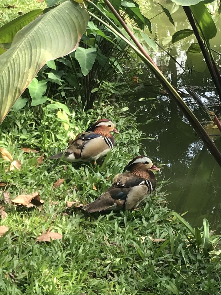 Photograph by HIEU LIEM DO