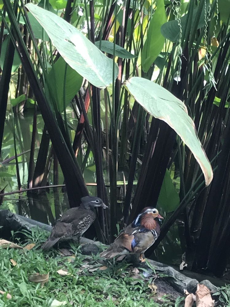 Photograph by HIEU LIEM DO