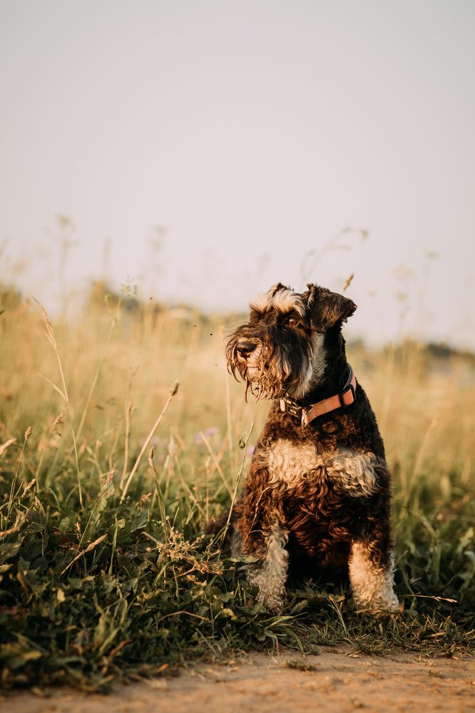 Photograph by Яна Матвеева