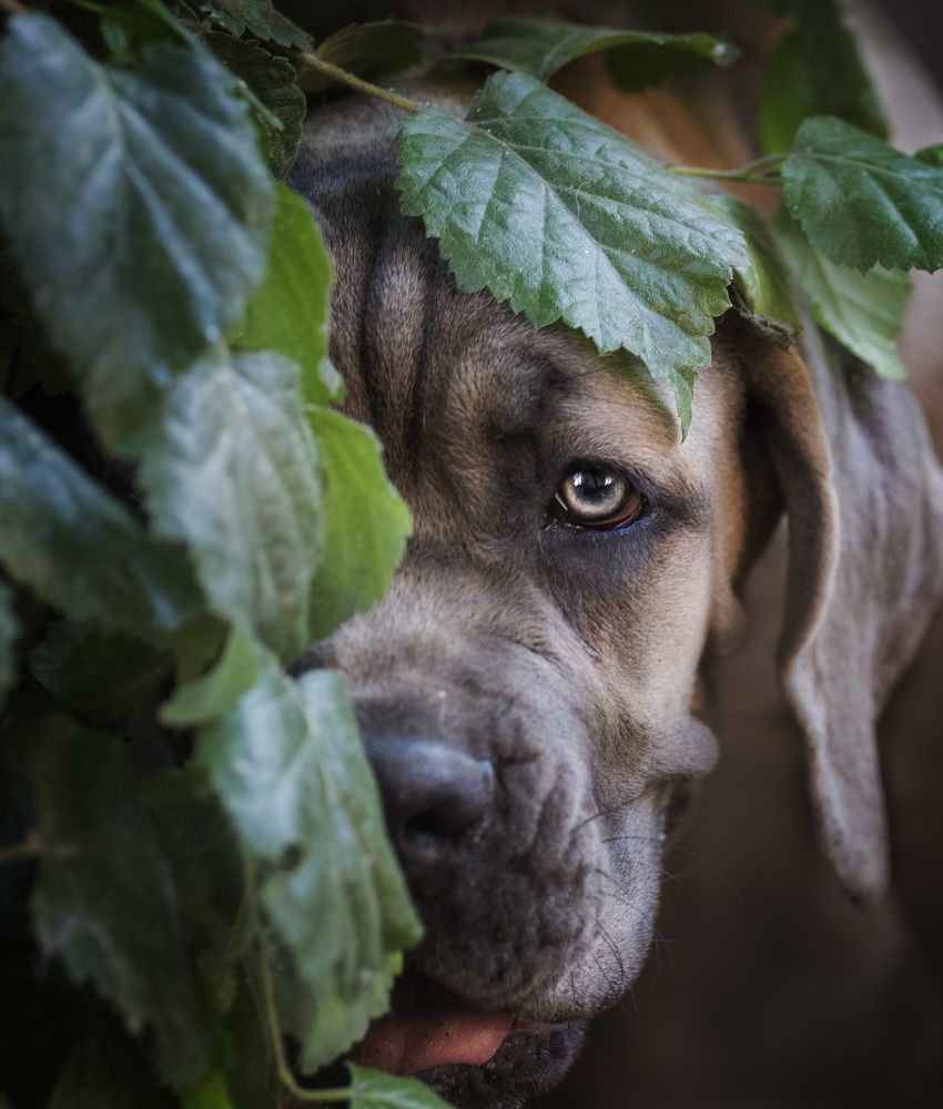 Photograph by Евгения Барановская