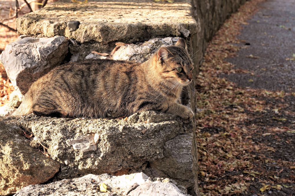 Photograph by Райма Гончарова