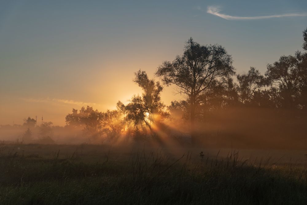 Photograph by Алексей