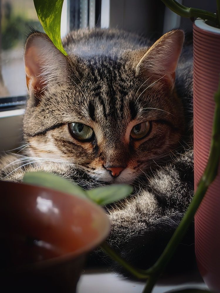 Photograph by Yuliya Karpova