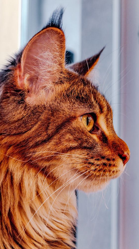 Photograph by Ирина Львова