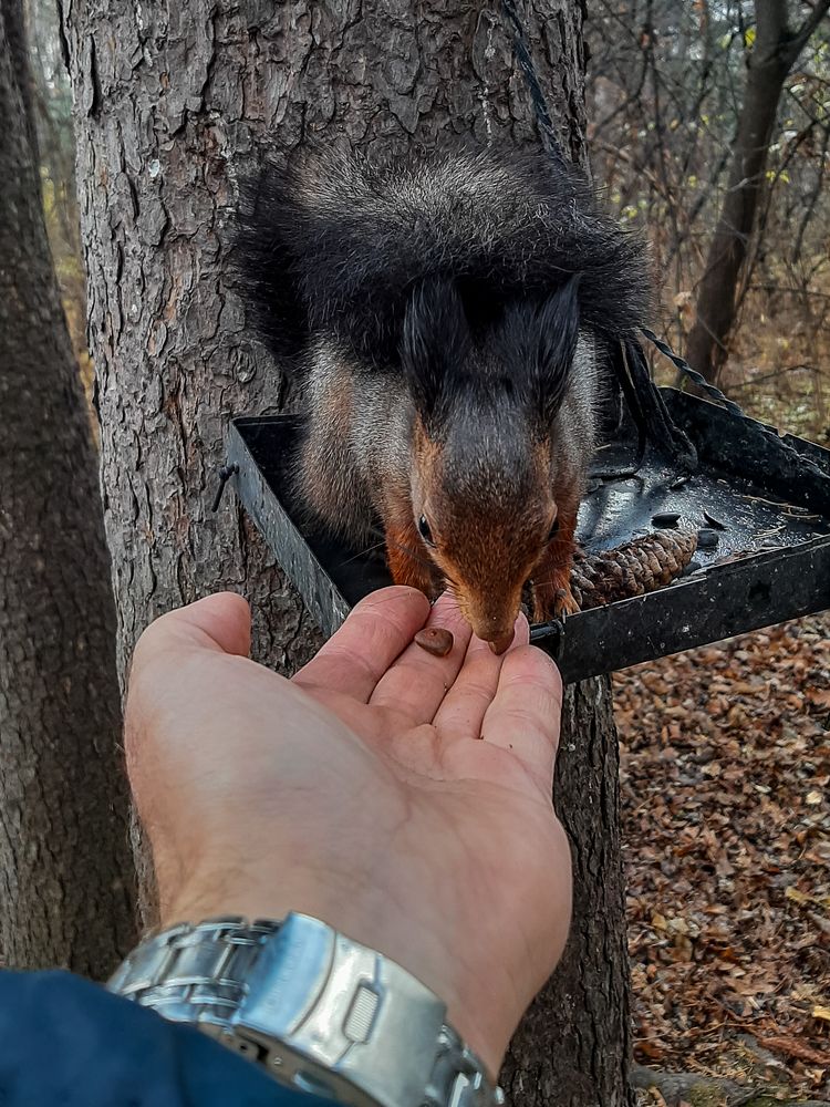 Photograph by Виктор Сёмушкин