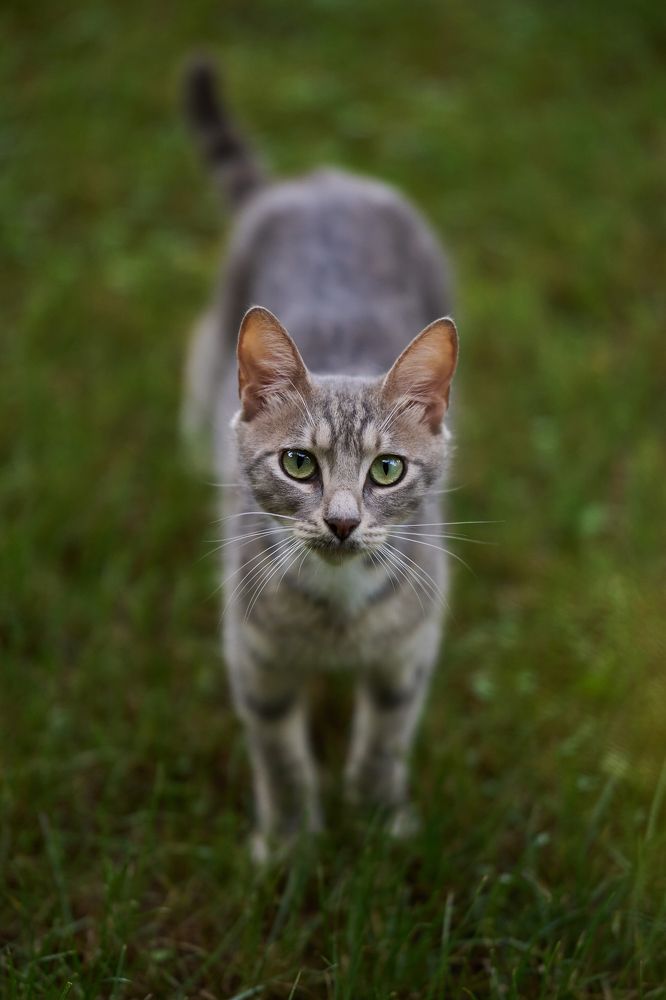 Photograph by Wener 2303