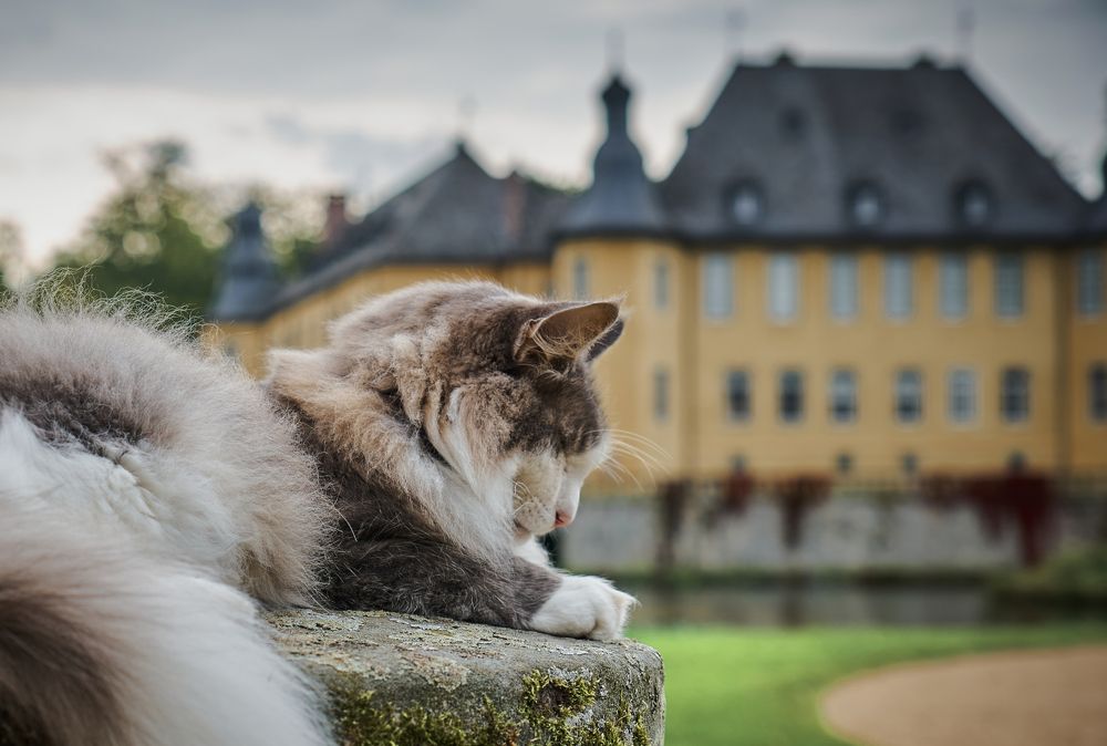 Photograph by Wener 2303