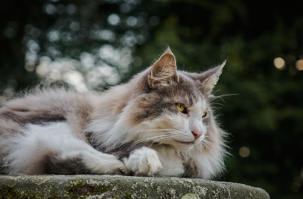 Photograph by Wener 2303