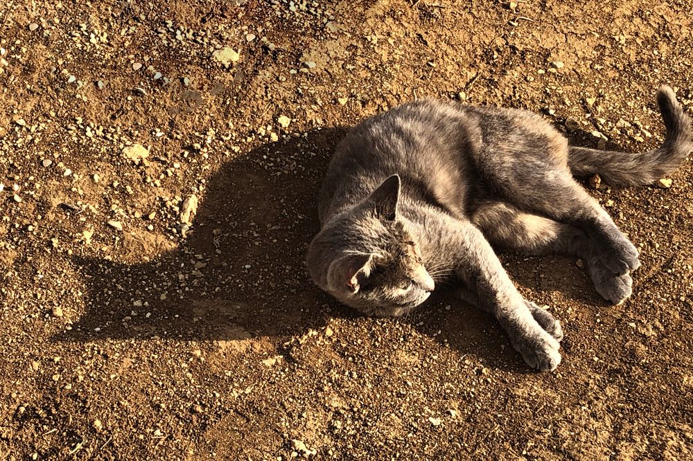 Photograph by Райма Гончарова