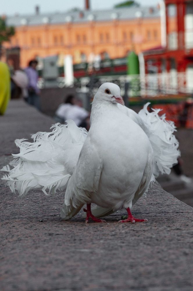 Photograph by Влад Сорокин
