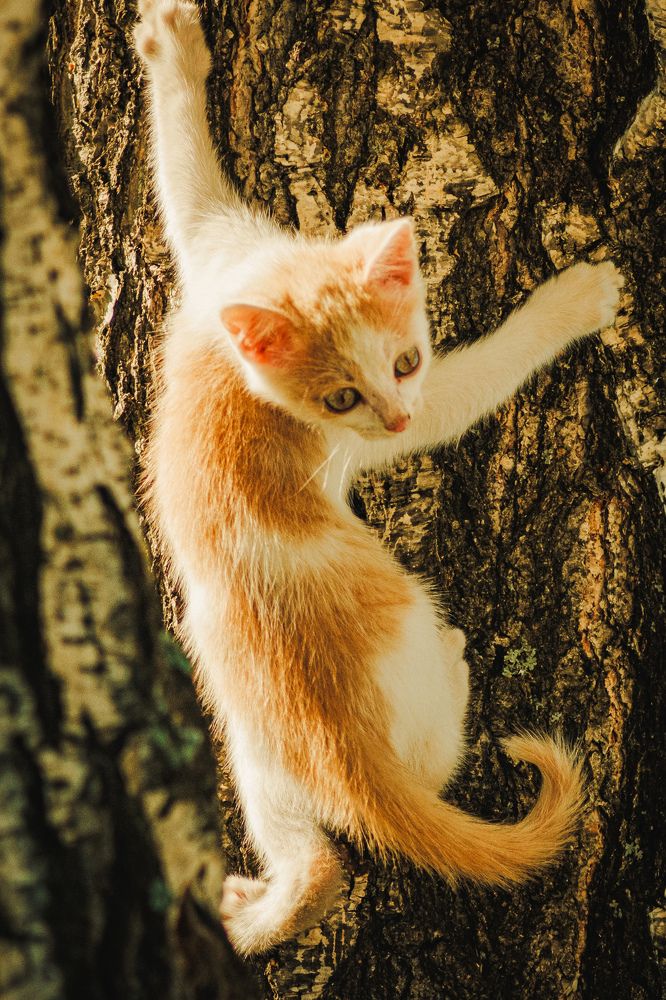 Photograph by Kostantin Belonogov