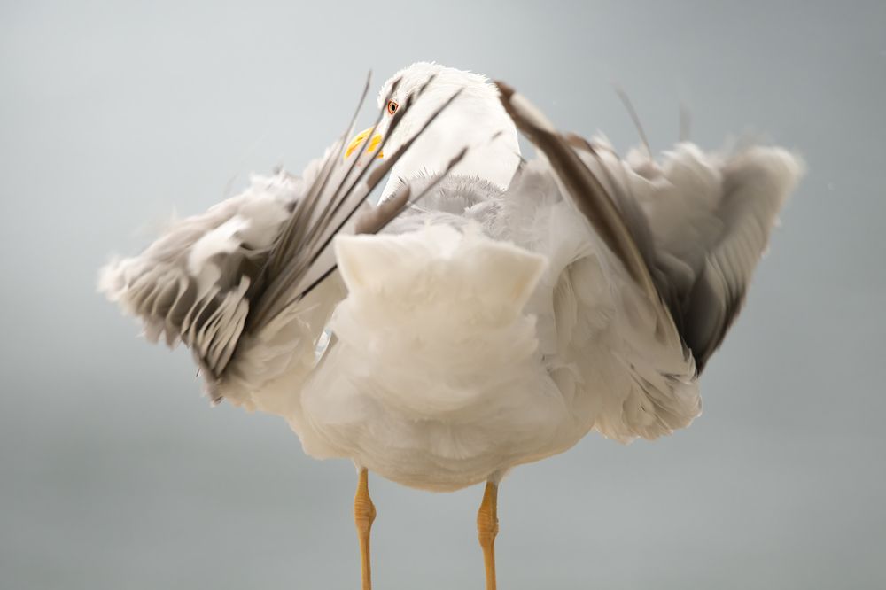 Photograph by Noa Táboas