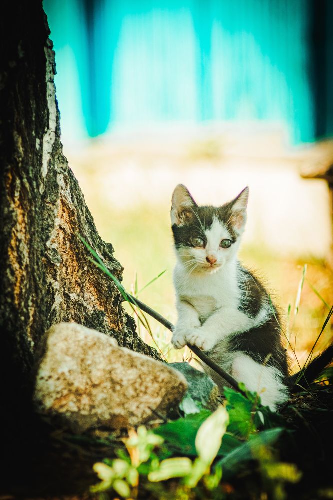 Photograph by Kostantin Belonogov