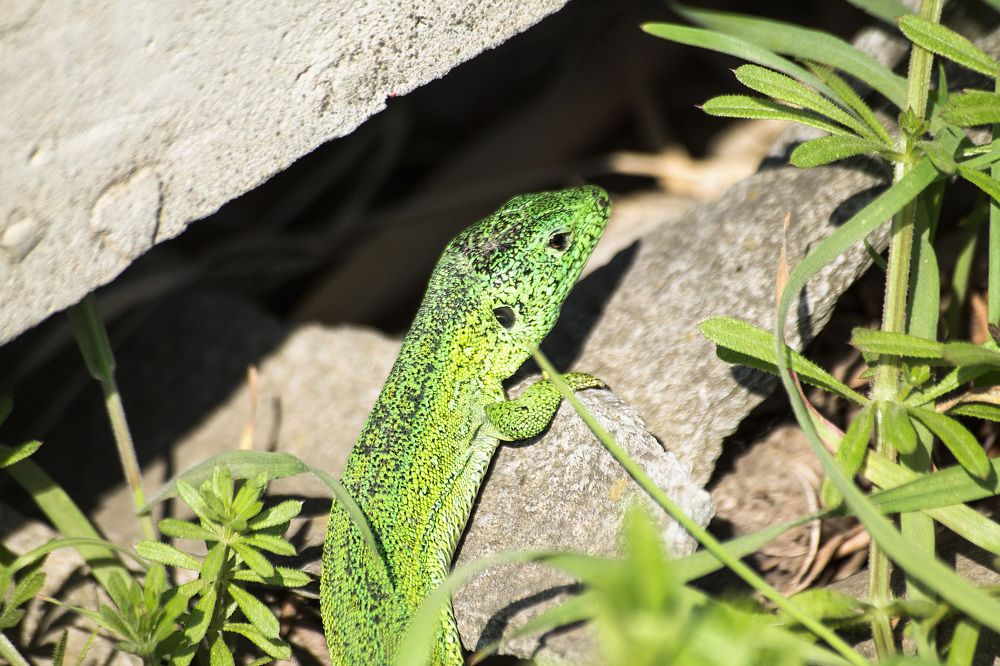 Photograph by Ольга Сельницына