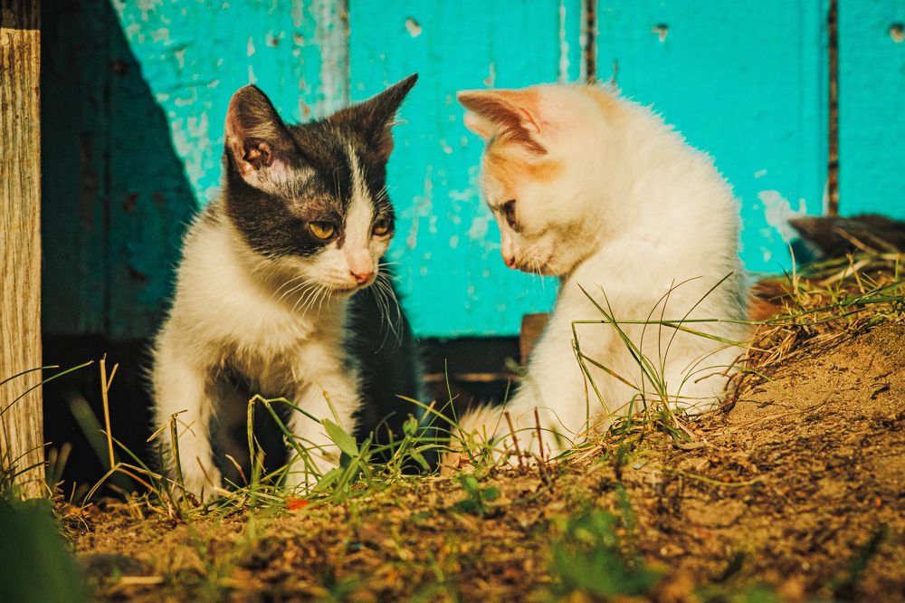 Photograph by Kostantin Belonogov