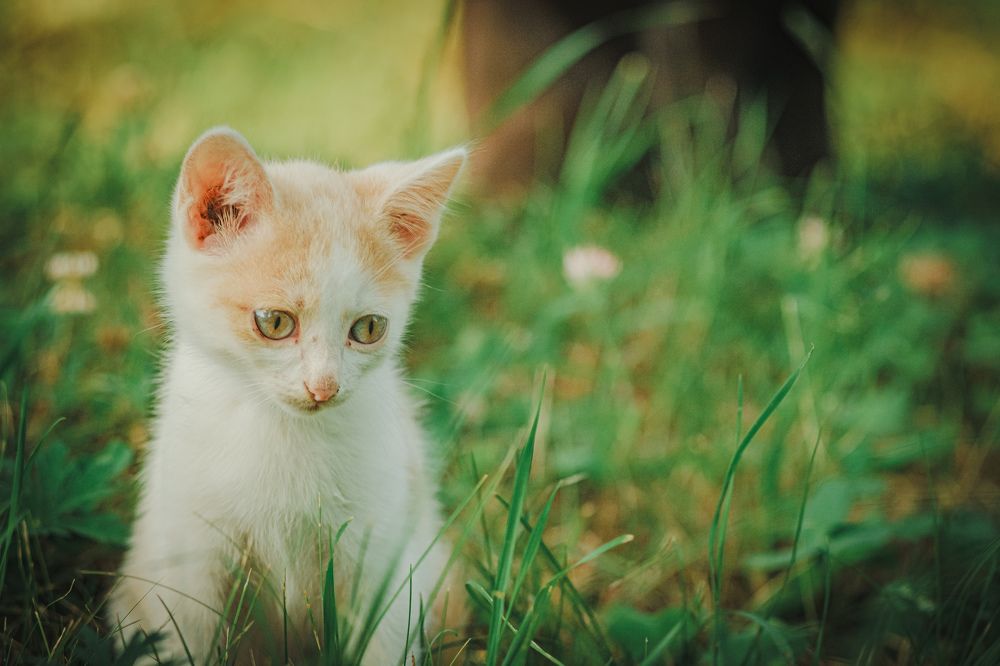 Photograph by Kostantin Belonogov