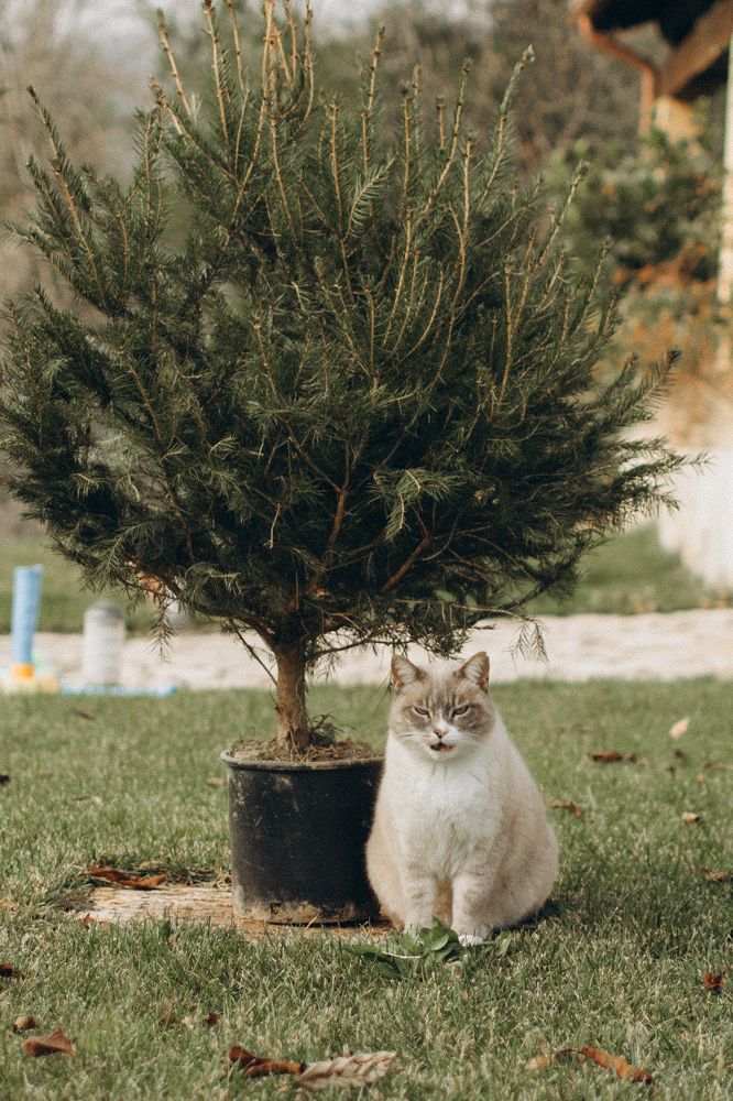 Photograph by Елена Дорошенко